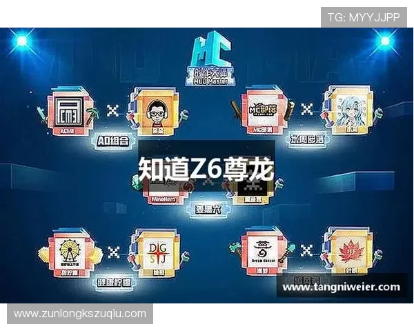 提升游戏体验，尊龙凯时备用网址带来的风格与服务