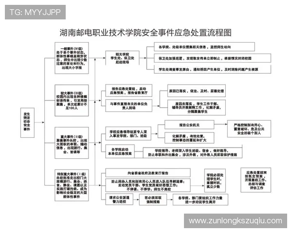 凯时安卓版账号注册与登录流程详细指南及安全保障措施