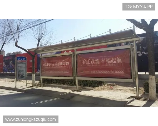 D88尊龙app最新版本下载与安全保障全面解析，助你畅享无忧游戏体验