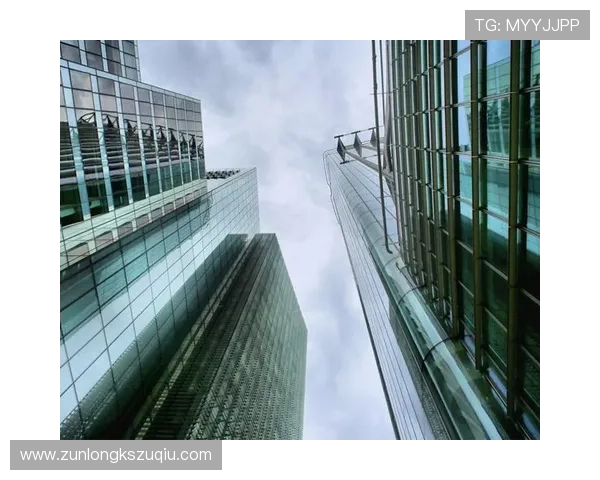 尊龙集团网址导航2024年最新更新版本详细解析提供最全的访问指南