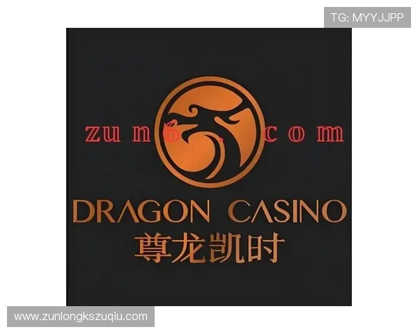 尊龙凯时百家乐客户服务支持体系详解确保玩家在游戏中获得及时帮助