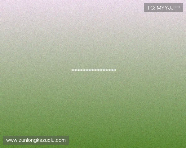 沙特与乌拉圭球队身价差异详解:影响世界杯表现的关键因素分析